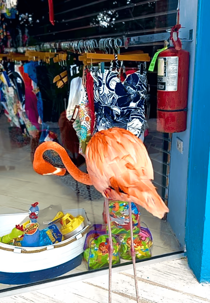 Renaissance Hotel Aruba flamingo Beach